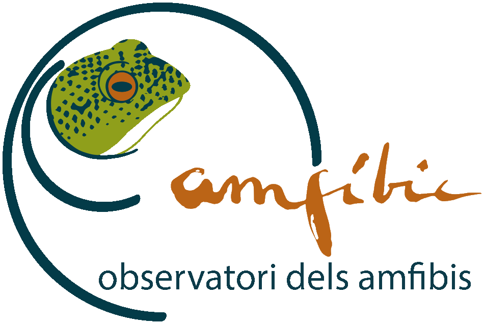 Observatori dels amfibis dels Aiguamolls de l’Empordà
