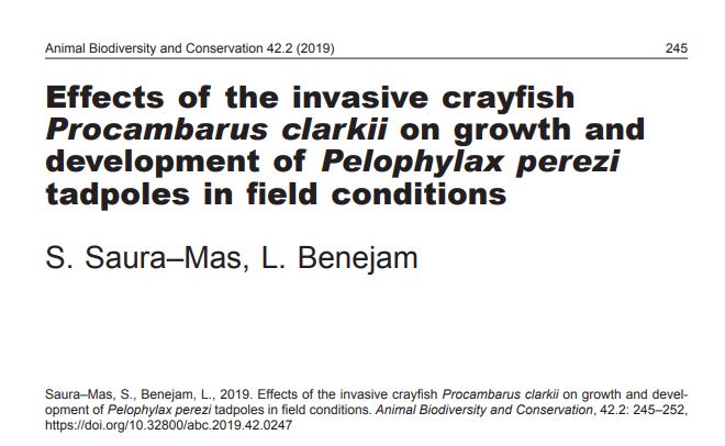 Efectos del cangrejo exótico, Procambarus clarkii, en el crecimiento y el desarrollo de los renacuajos de Pelophylax perezi en condiciones de campo